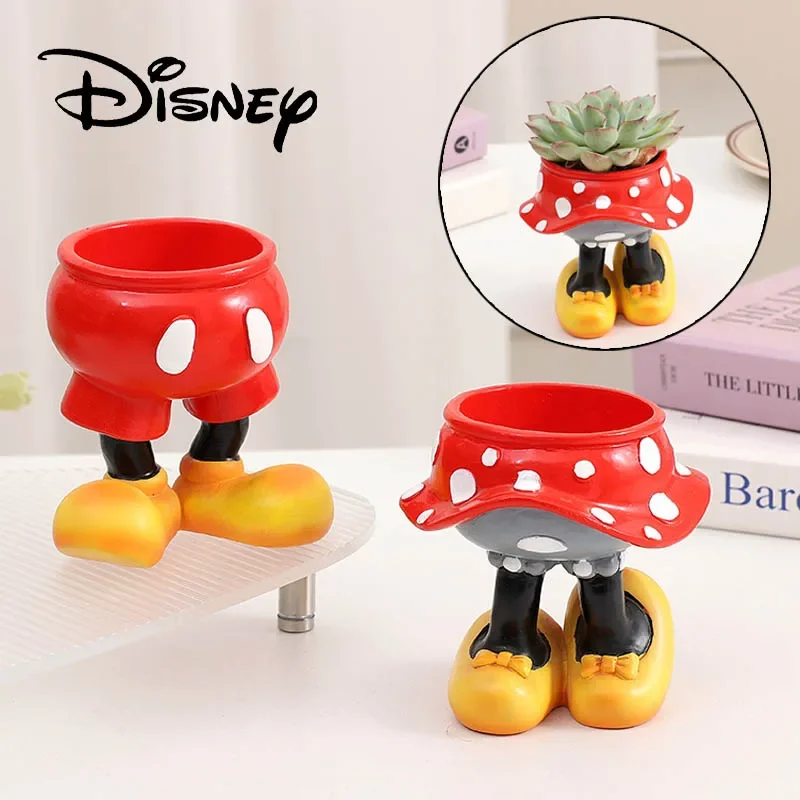 Disney Mickey Minnie Flower Po – обзор и цена Echeveria Succulent