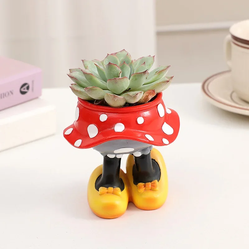 Disney Mickey Minnie Flower Po – обзор и цена Echeveria Succulent