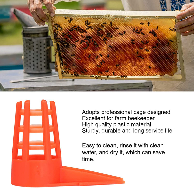 20 PcsKing Cells Plastic Bee Q – обзор и цена Begonia Rex