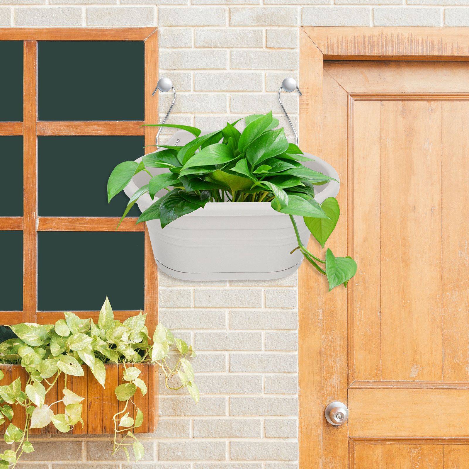 1Set Wall Hanging Flower Pot S – обзор и цена Spider Plant Hanging
