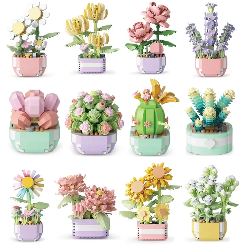 Flower Succulents Building Blo – обзор и цена Echeveria Succulent