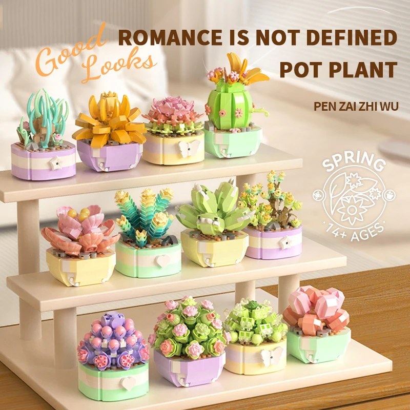 Flower Succulents Building Blo – обзор и цена Echeveria Succulent