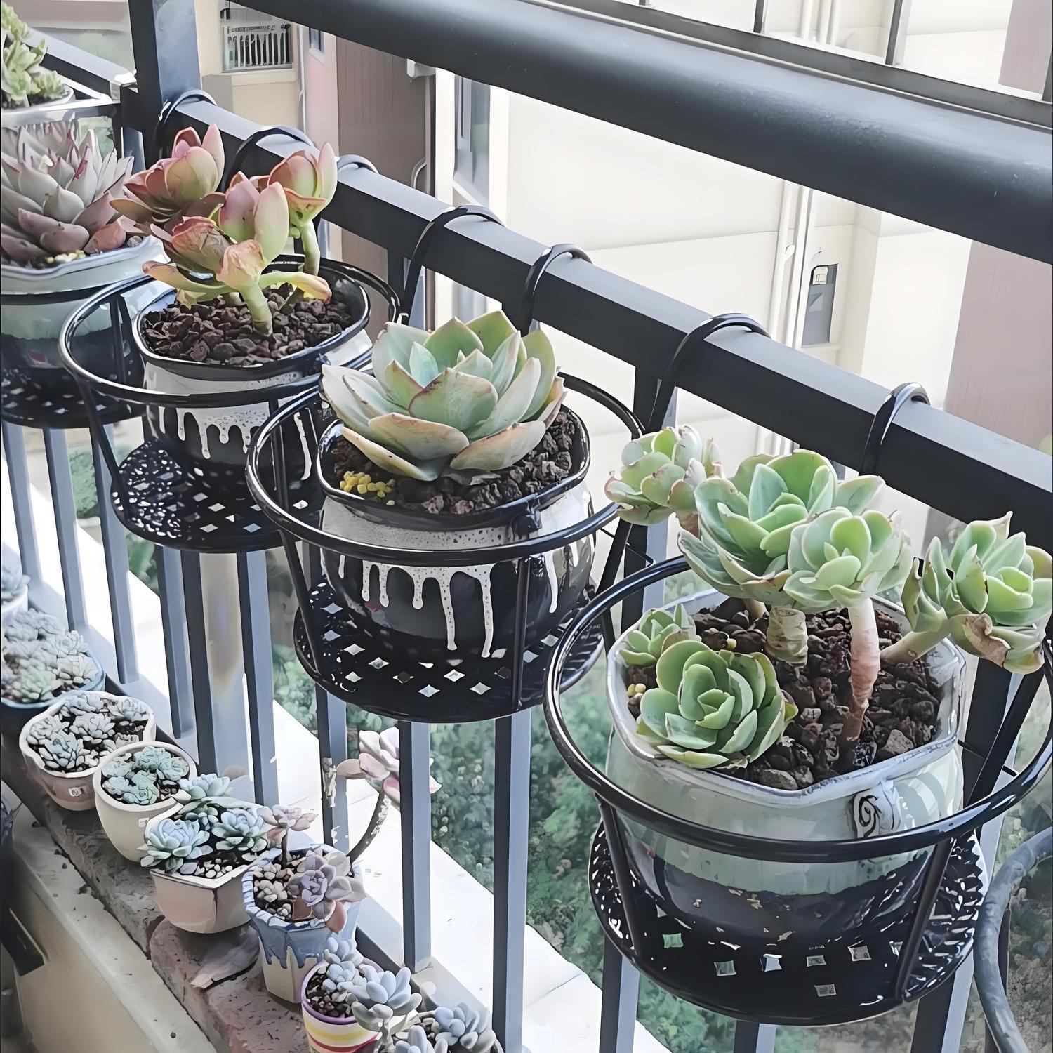 Wrought Iron Balcony Hanging F – обзор и цена Spider Plant Hanging
