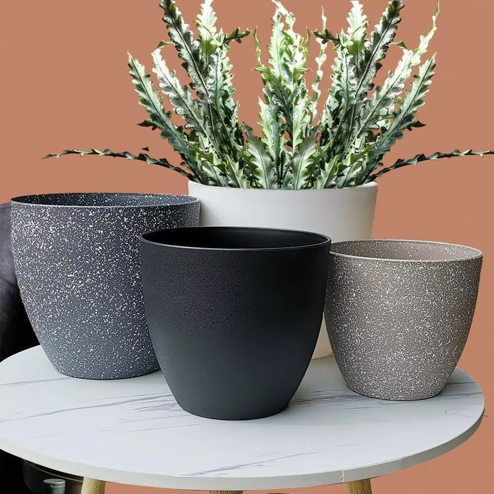 Frosted Imitation Stone Bonsai – обзор и цена Aloe Vera Pot