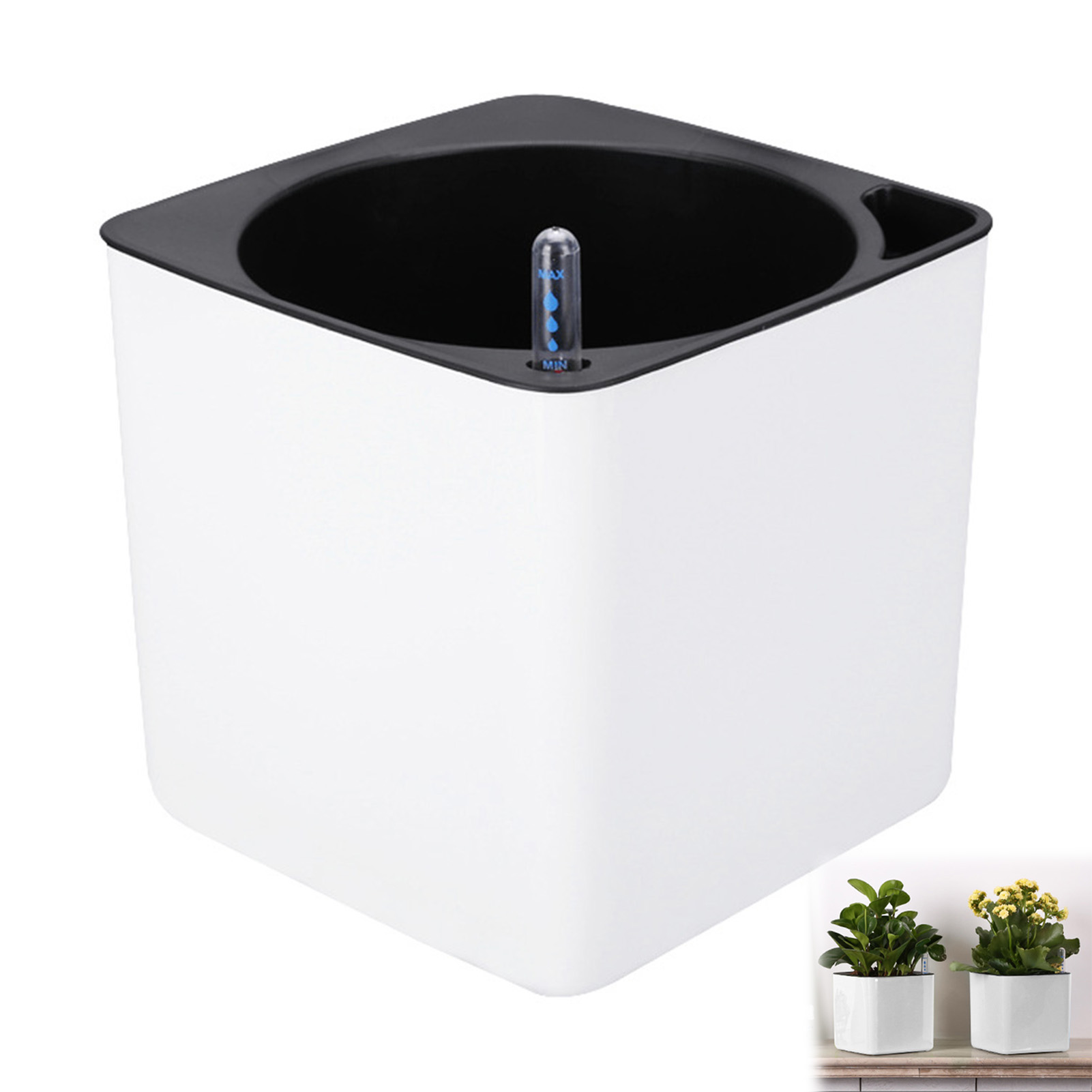 Automatic Self Watering Flower – обзор и цена Aloe Vera Pot