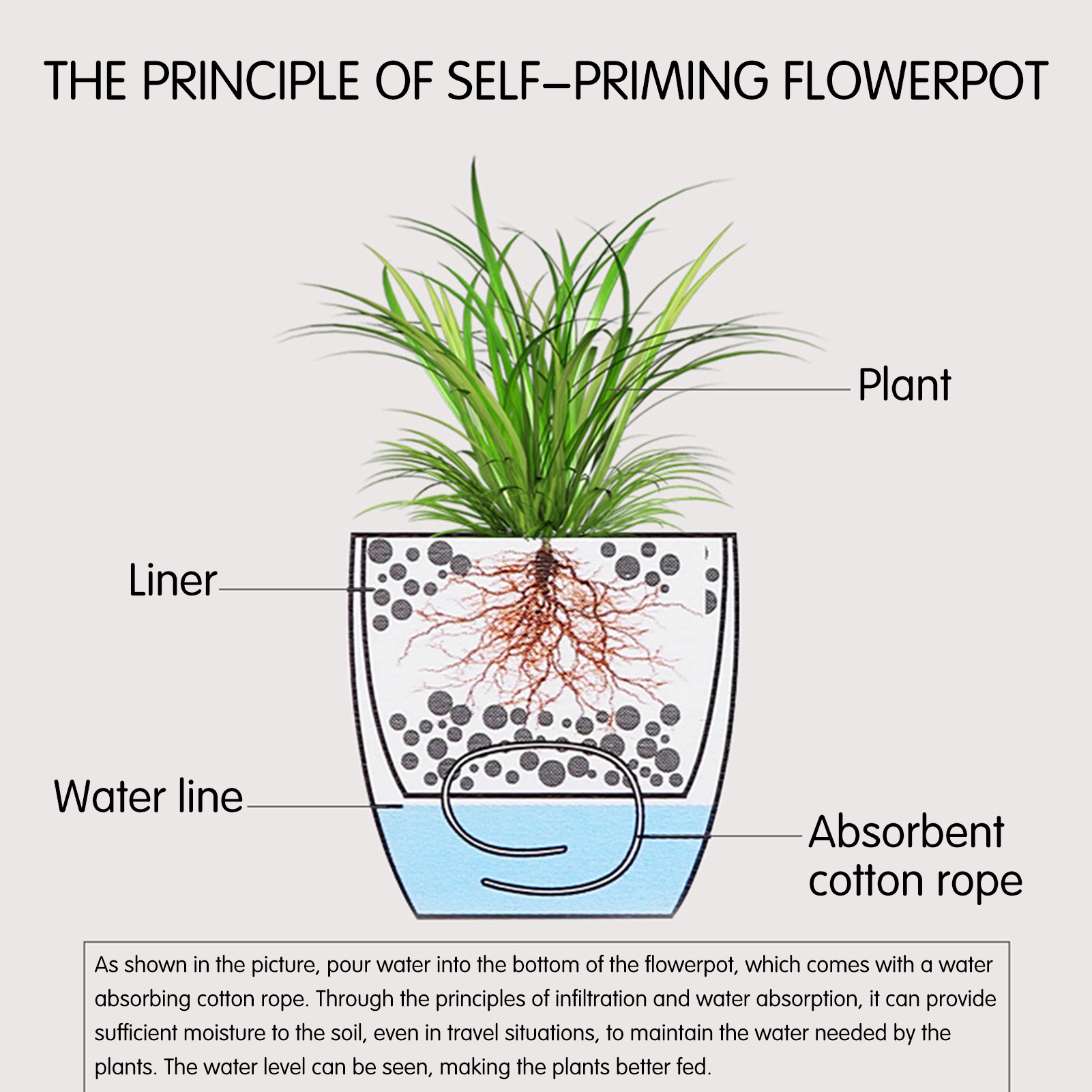 Automatic Self Watering Flower – обзор и цена Aloe Vera Pot
