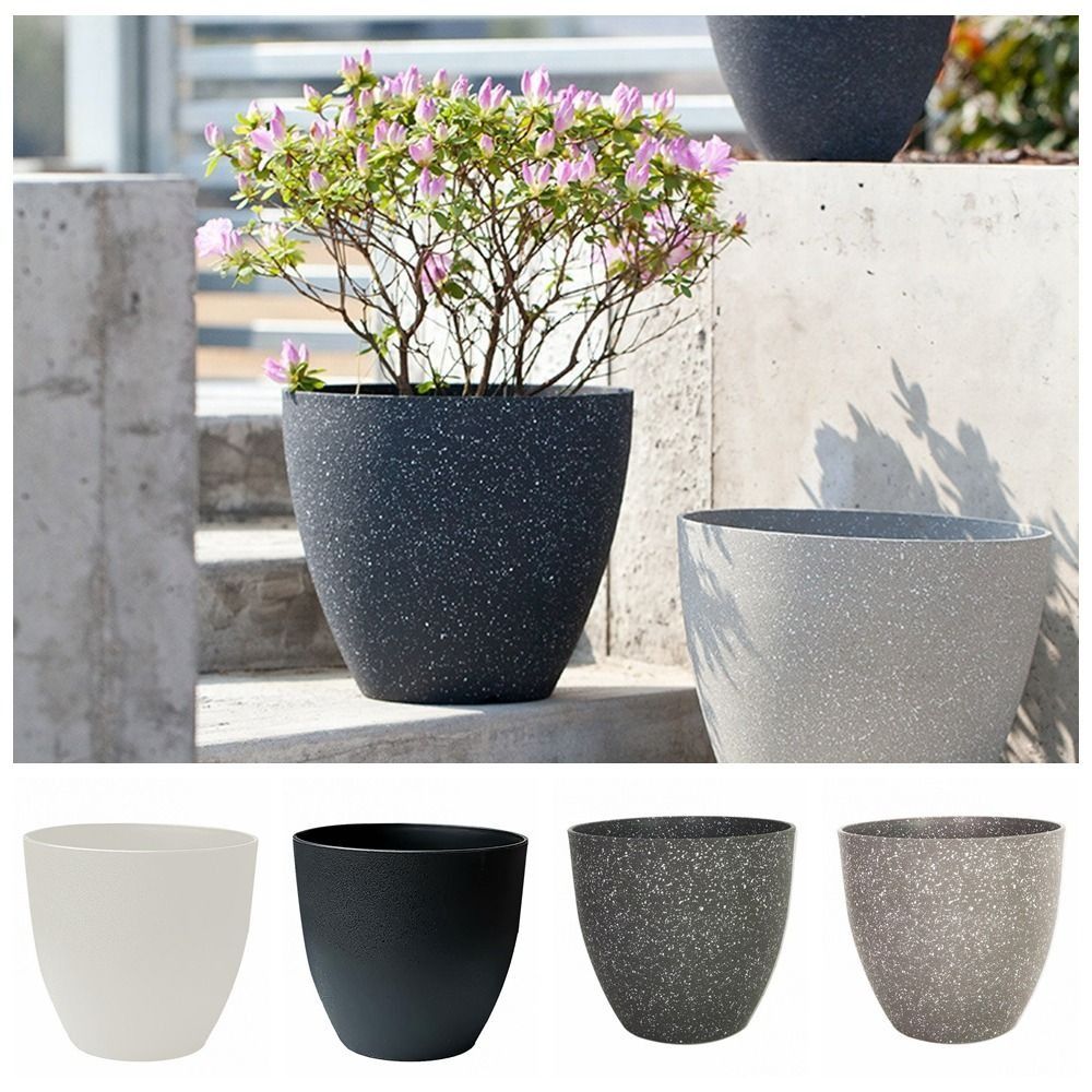 Frosted Imitation Stone Flower – обзор и цена Aloe Vera Pot