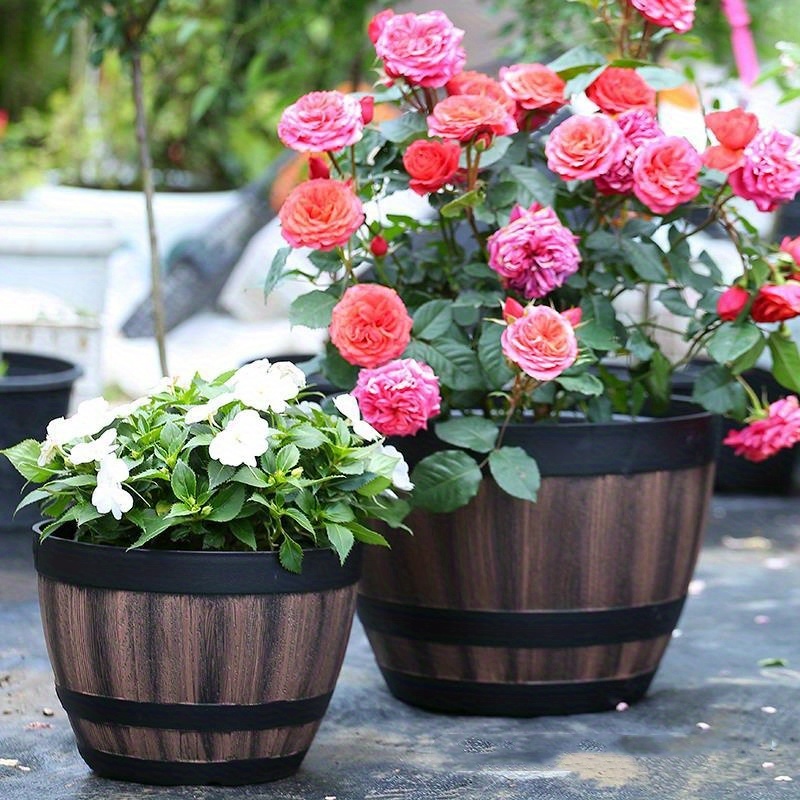Durable Plastic Round Elegant  – обзор и цена Aloe Vera Pot