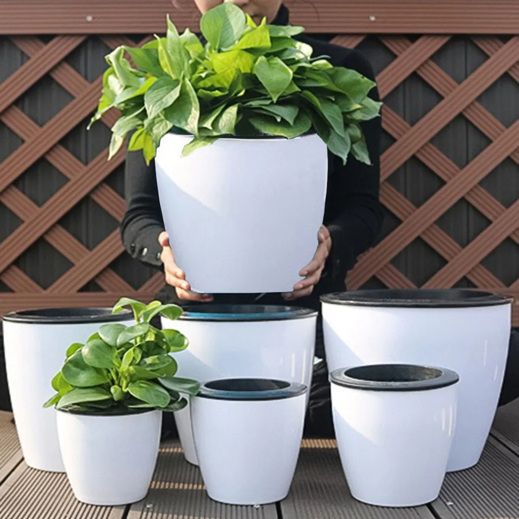 Lazy Flower Pot Self-Watering  – обзор и цена Aloe Vera Pot
