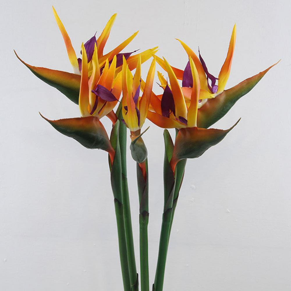 1pc 80cm Flower Bird Of Paradi – обзор и цена Bird Paradise Strelitzia
