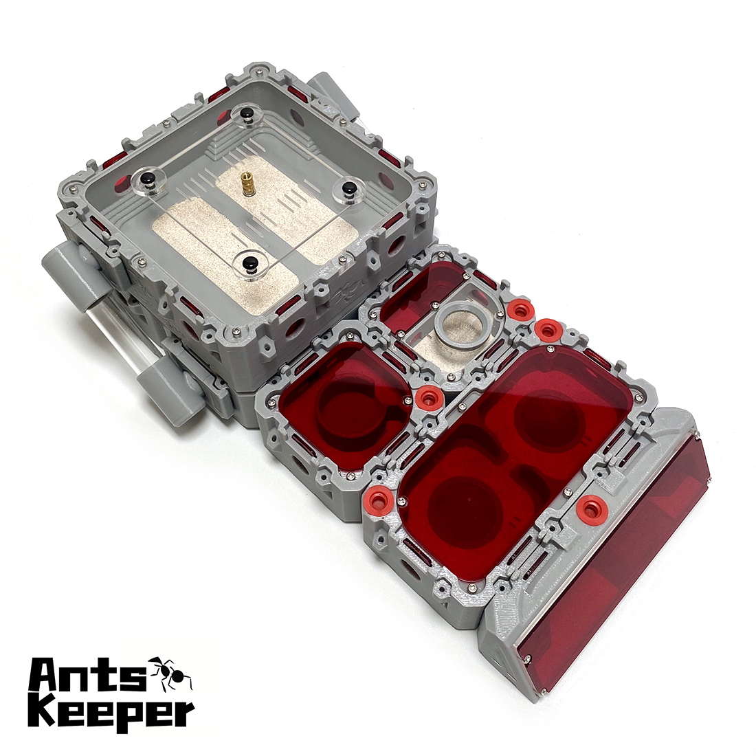 【Lego】Expandable Modular Formi – обзор и цена Begonia Rex
