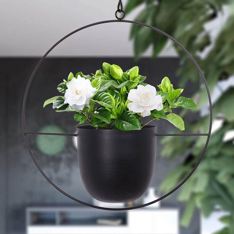 Hanging Iron Art Plant Pots Ba – обзор и цена Spider Plant Hanging