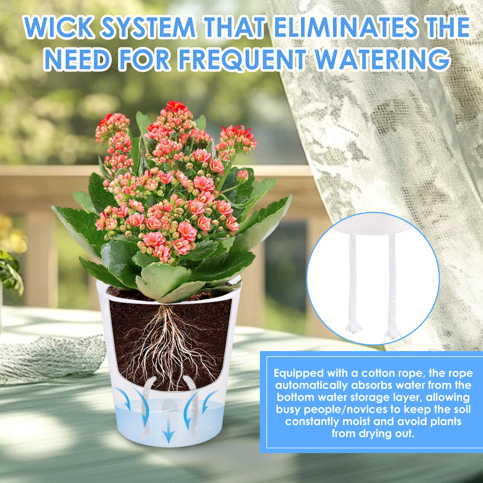 10Pcs Self Watering Plastic Fl – обзор и цена Aloe Vera Pot