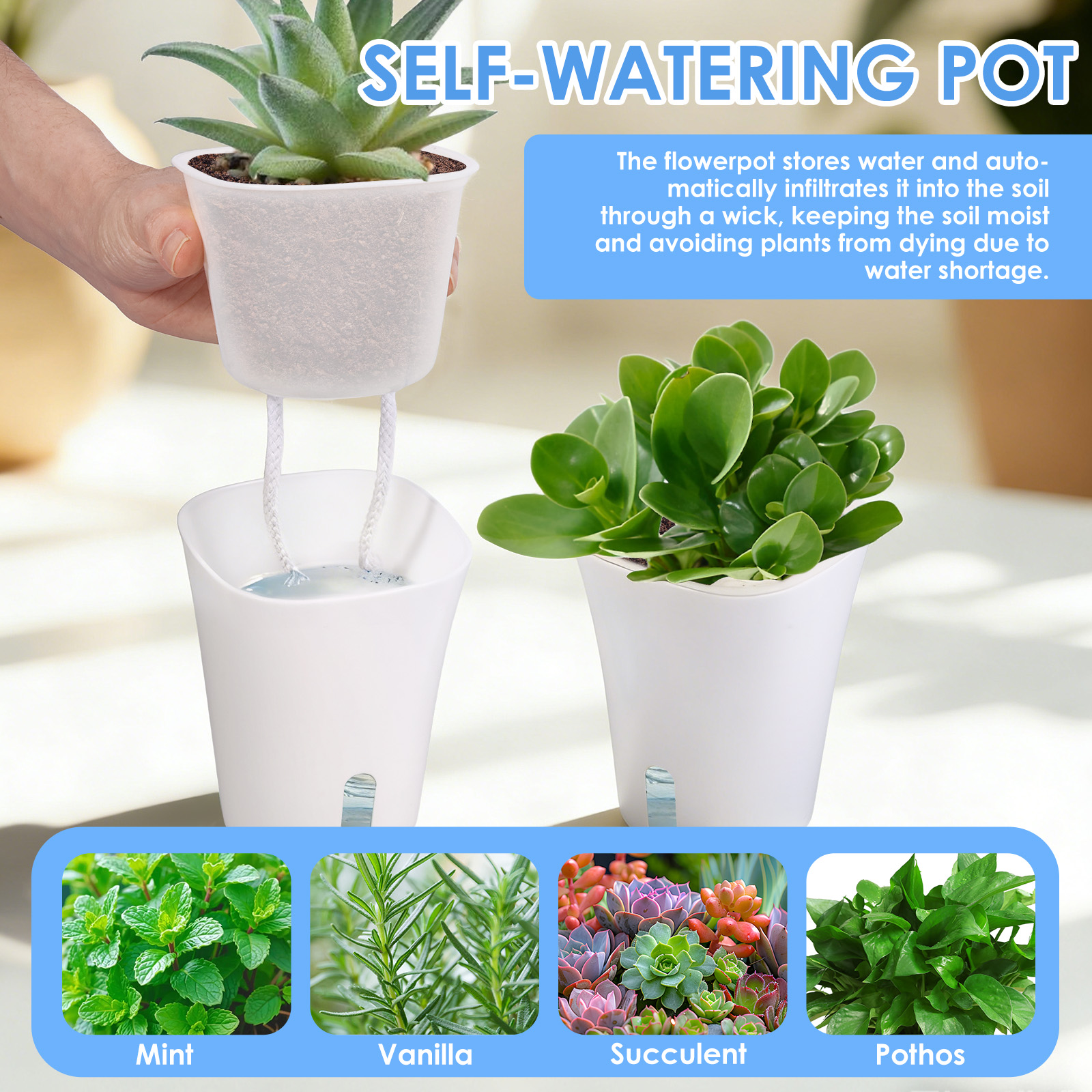 10Pcs Self Watering Plastic Fl – обзор и цена Aloe Vera Pot
