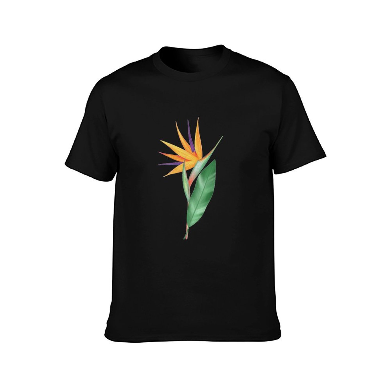 Watercolor bird of paradise fl – обзор и цена Bird Paradise Strelitzia