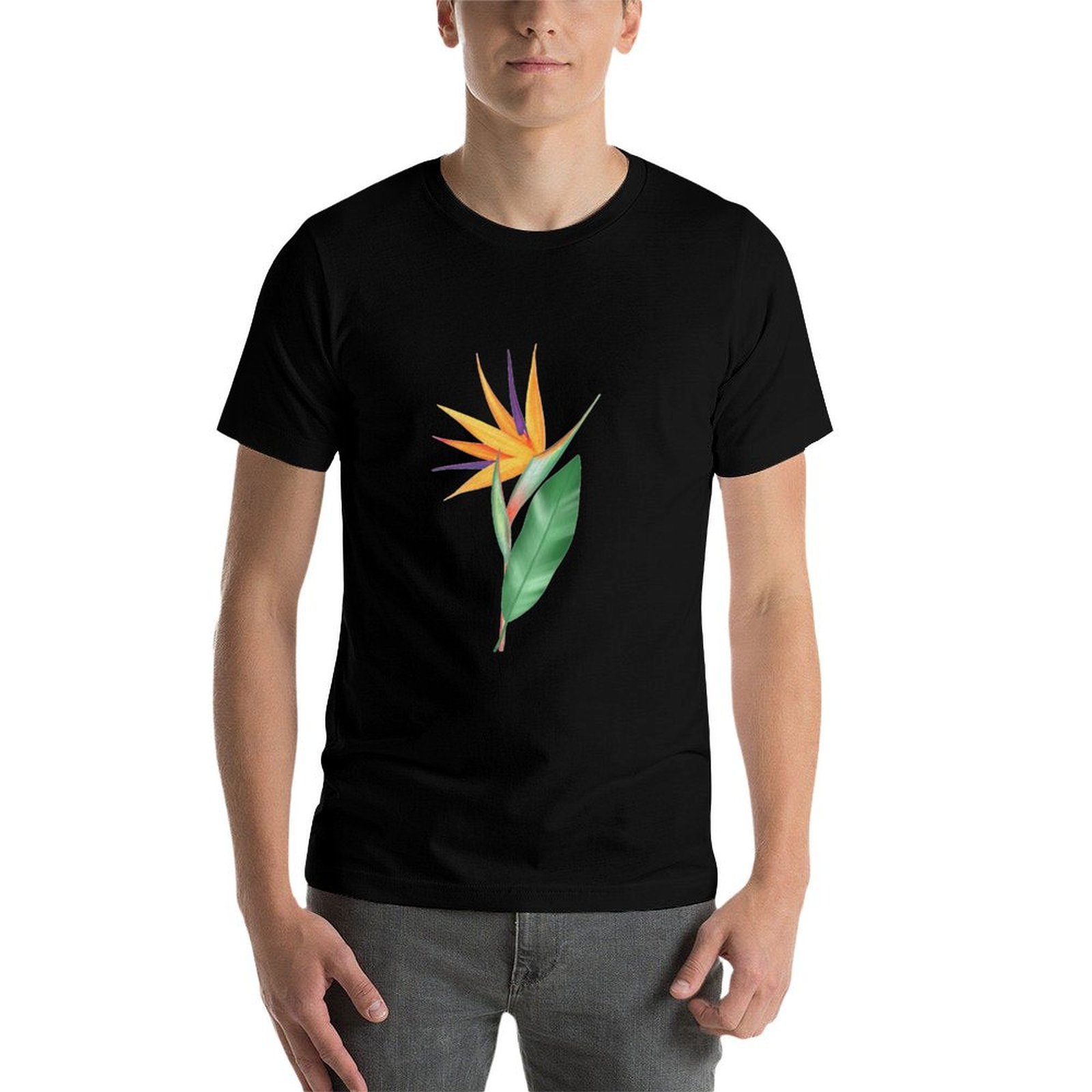 Watercolor bird of paradise fl – обзор и цена Bird Paradise Strelitzia