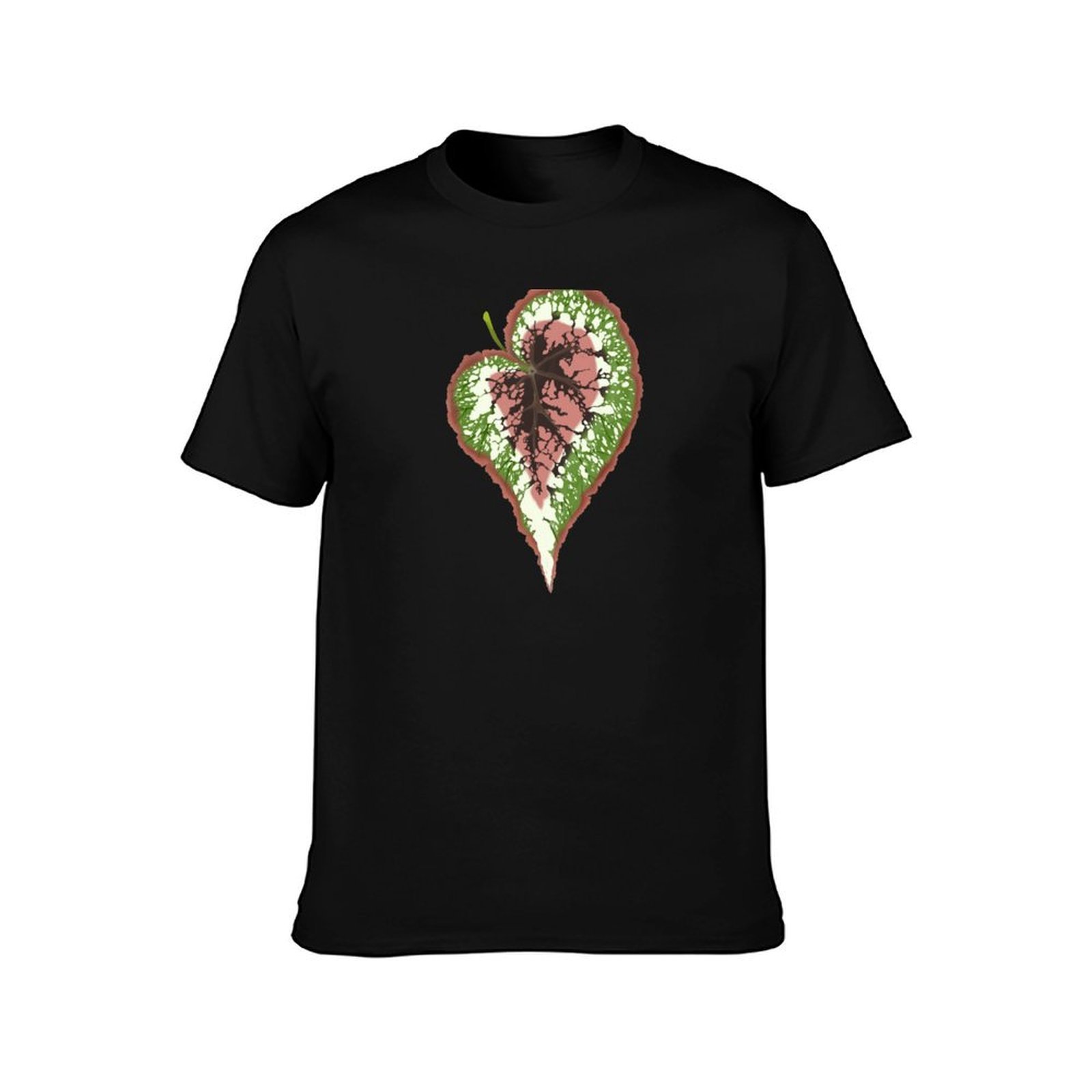 Begonia Rex T-Shirt Basic Simp – обзор и цена Begonia Rex