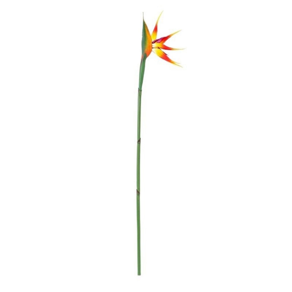 Long Stem Artificial Bird of P – обзор и цена Bird Paradise Strelitzia