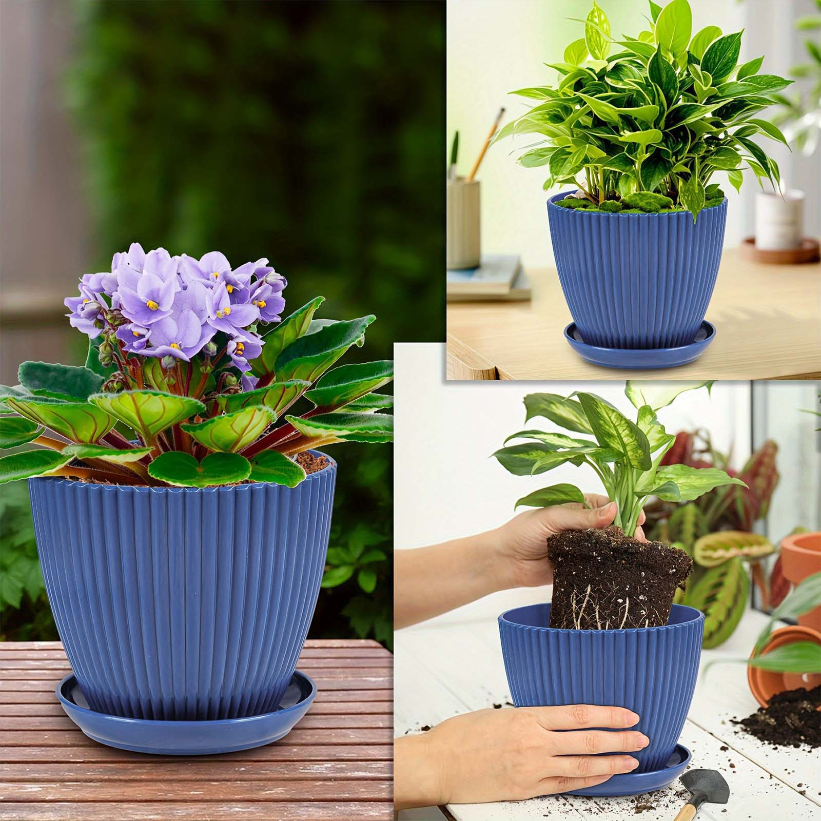Vertical Striped Thickened Pla – обзор и цена Aloe Vera Pot