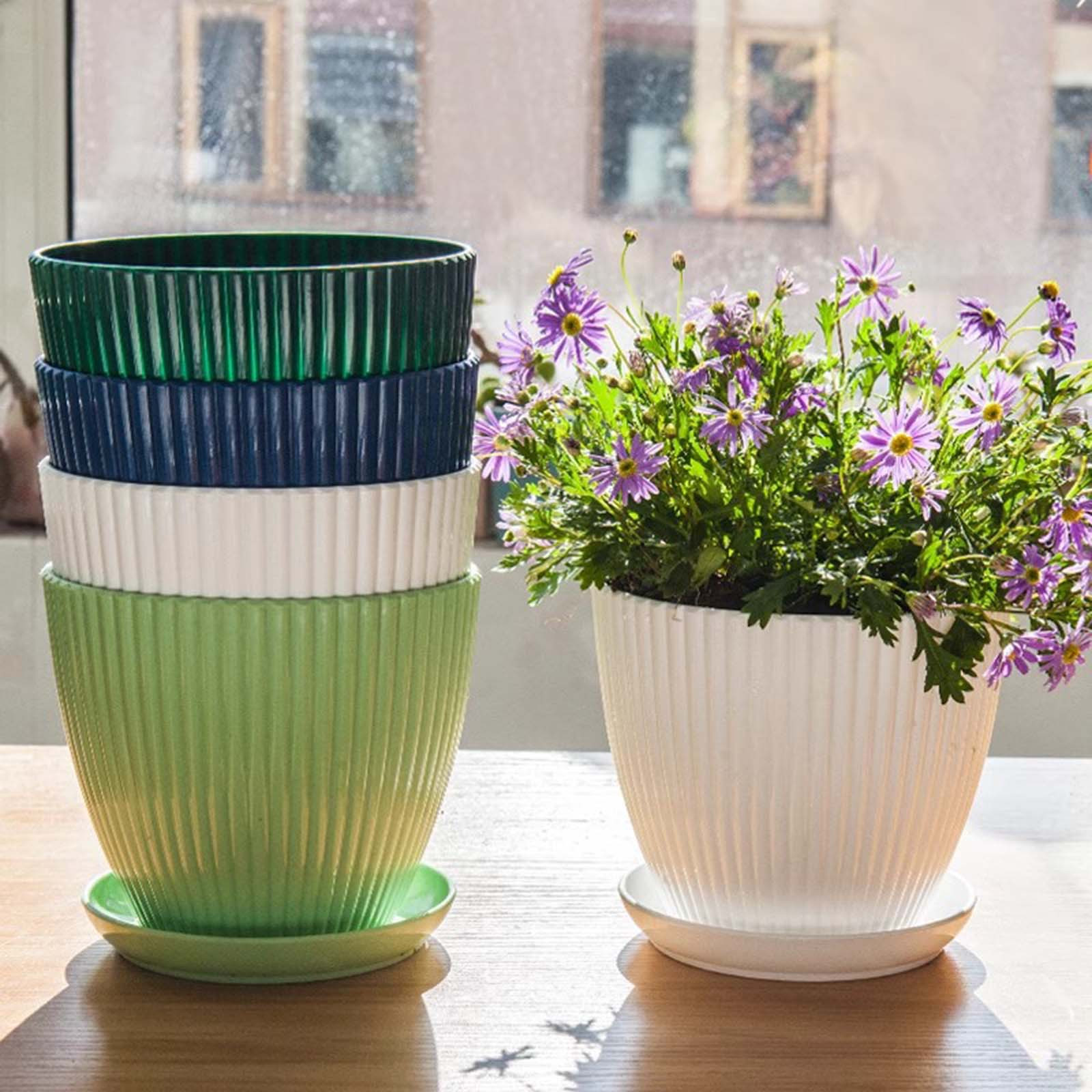 Vertical Striped Thickened Pla – обзор и цена Aloe Vera Pot