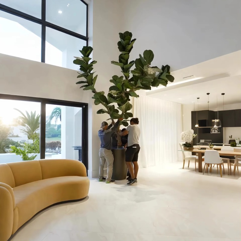 Artificial Plants Indoor Potte – обзор и цена Ficus Lyrata Tree