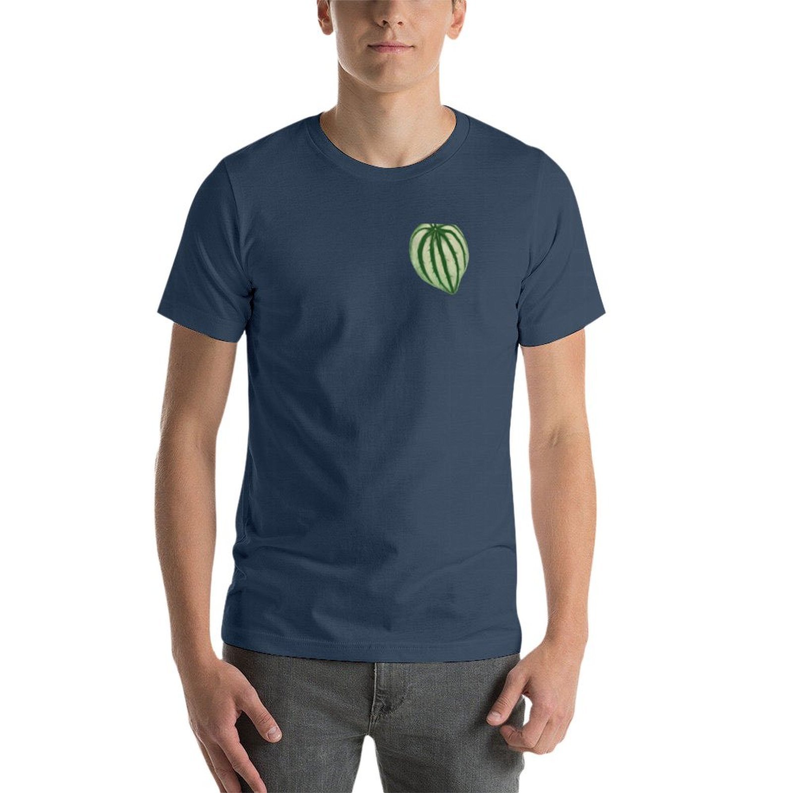 Peperomia Watermelon T-Shirt M – обзор и цена Peperomia Watermelon
