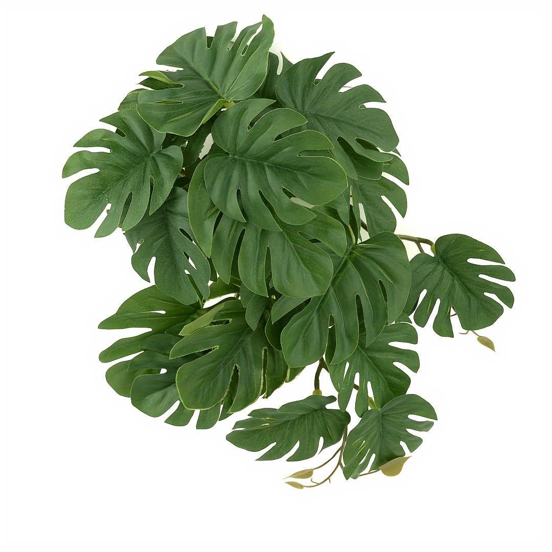 Reptile Plants for Terrarium A – обзор и цена Monstera Adansonii