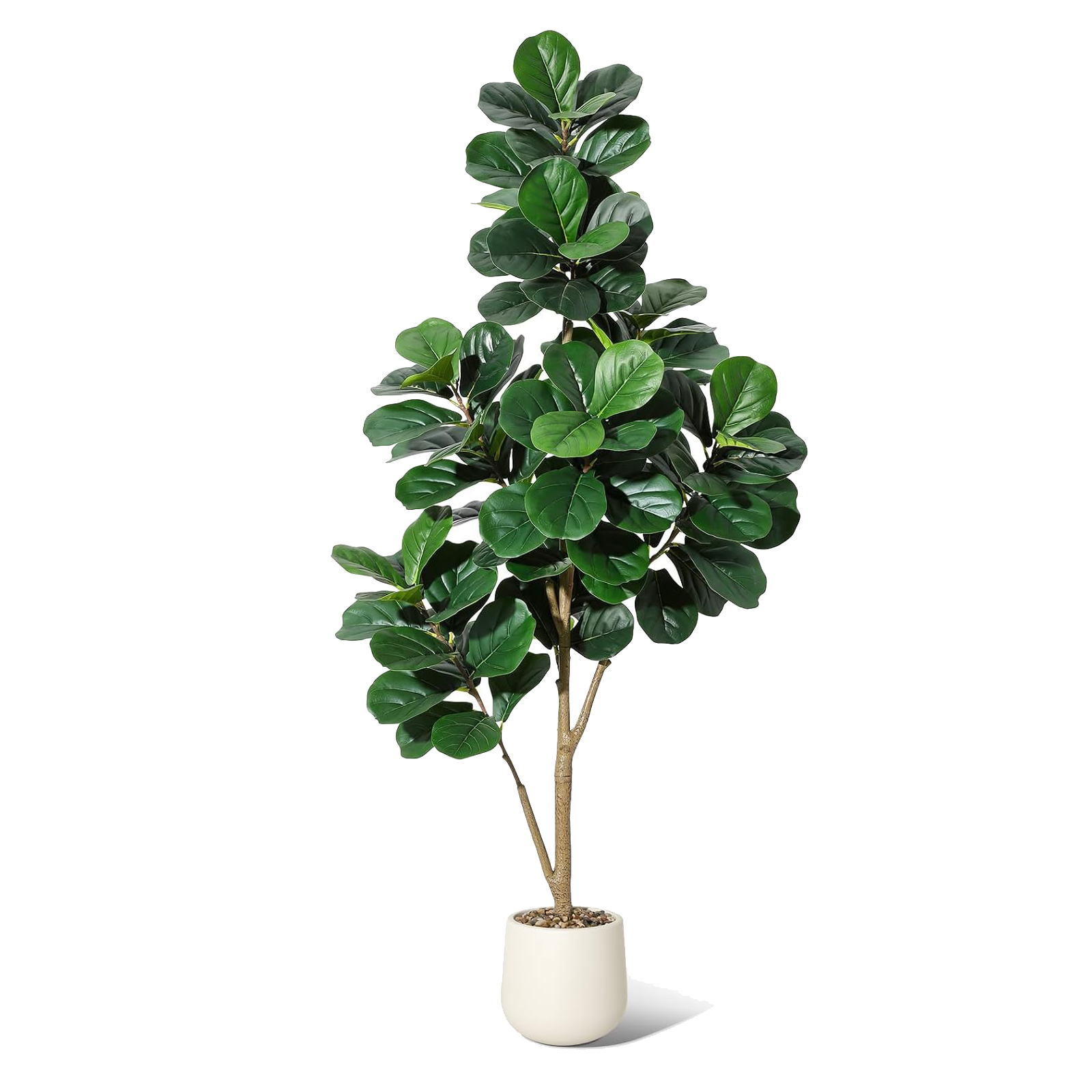 4-7 FT Fiddle Leaf Fig Tree Ar – обзор и цена Ficus Lyrata Tree