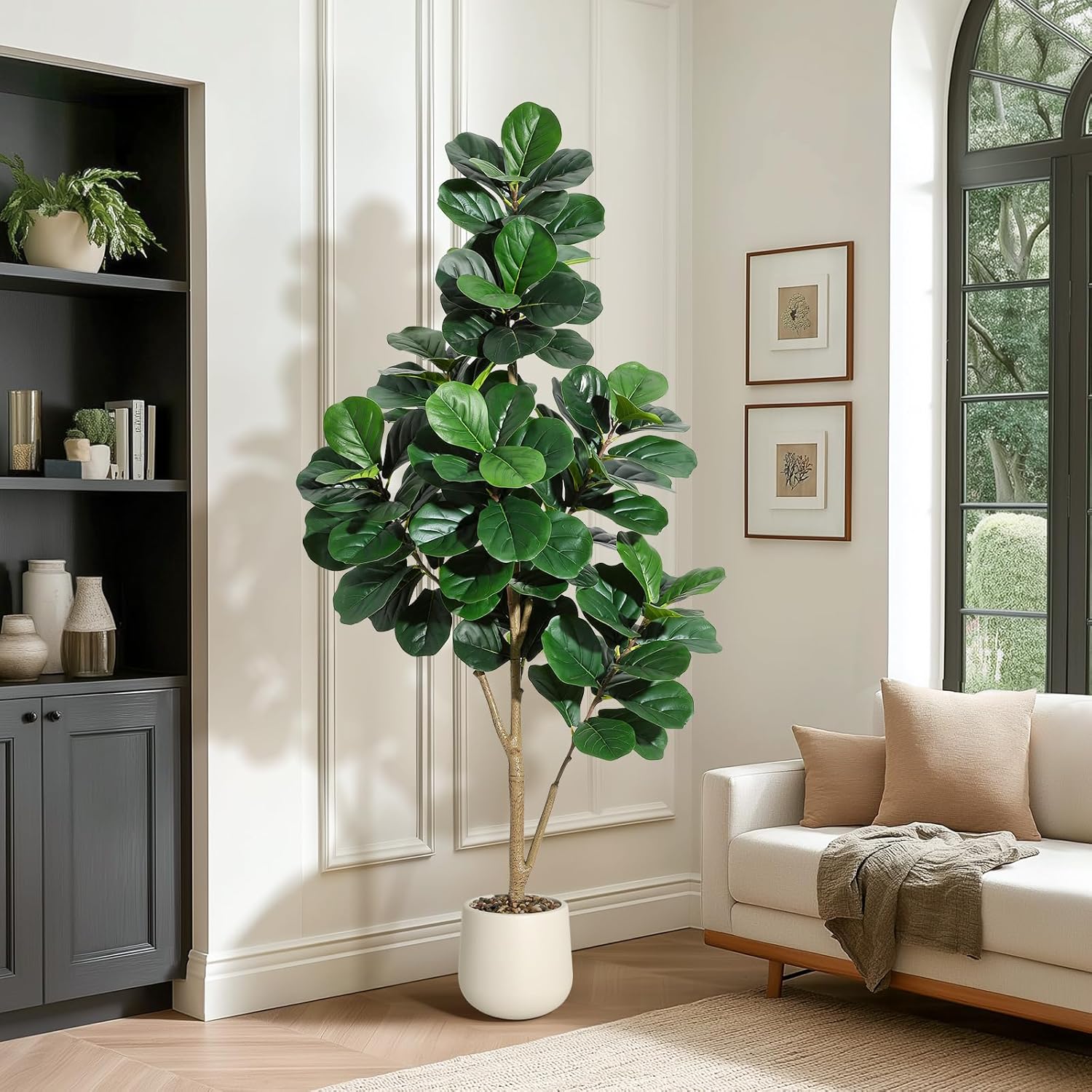 4-7 FT Fiddle Leaf Fig Tree Ar – обзор и цена Ficus Lyrata Tree