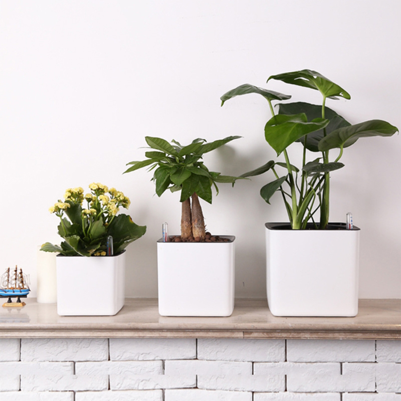Self Watering Planter Self-wat – обзор и цена Aloe Vera Pot