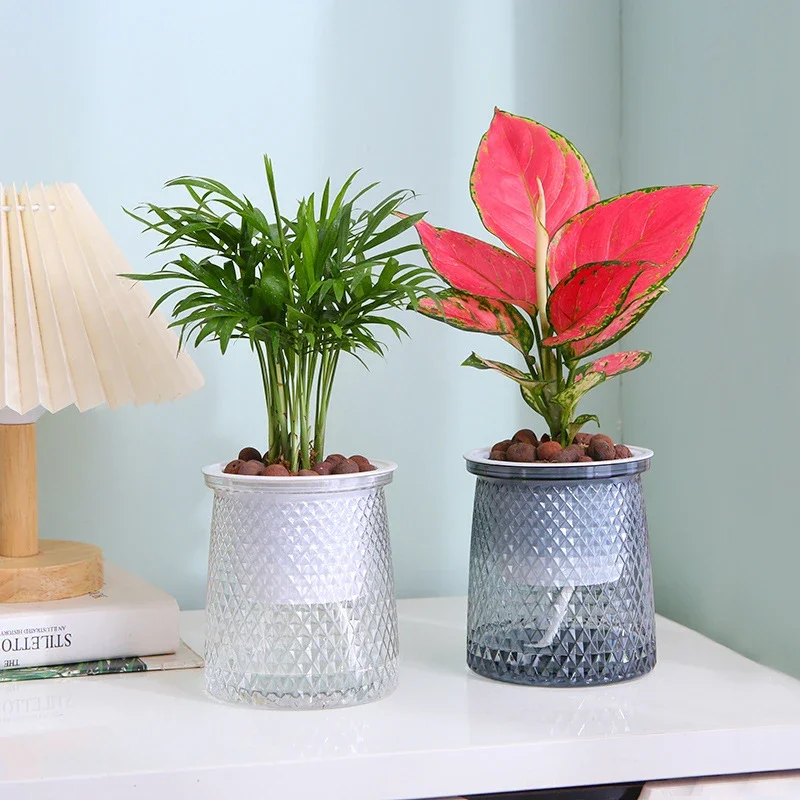 Self Watering Plant Pots, Lazy – обзор и цена Aloe Vera Pot