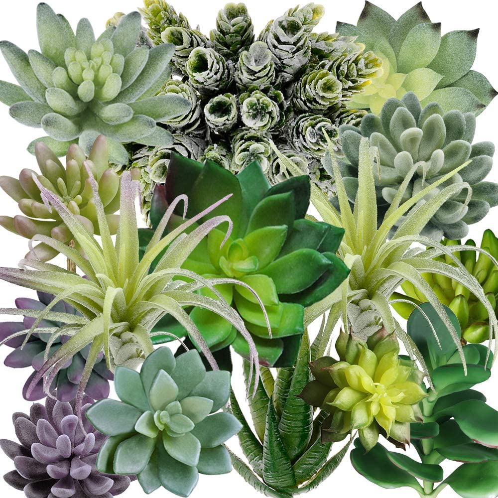 15 Pack Assorted Artificial Su – обзор и цена Echeveria Succulent