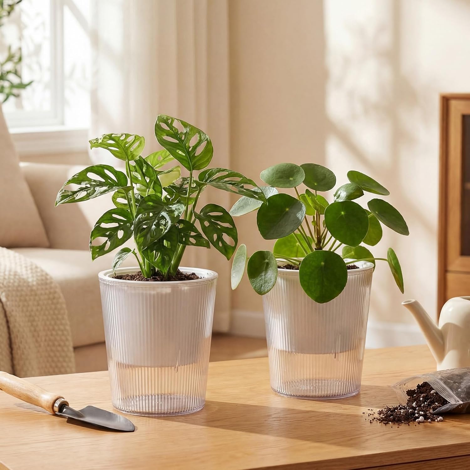 Clear Self Watering Planters P – обзор и цена Aloe Vera Pot