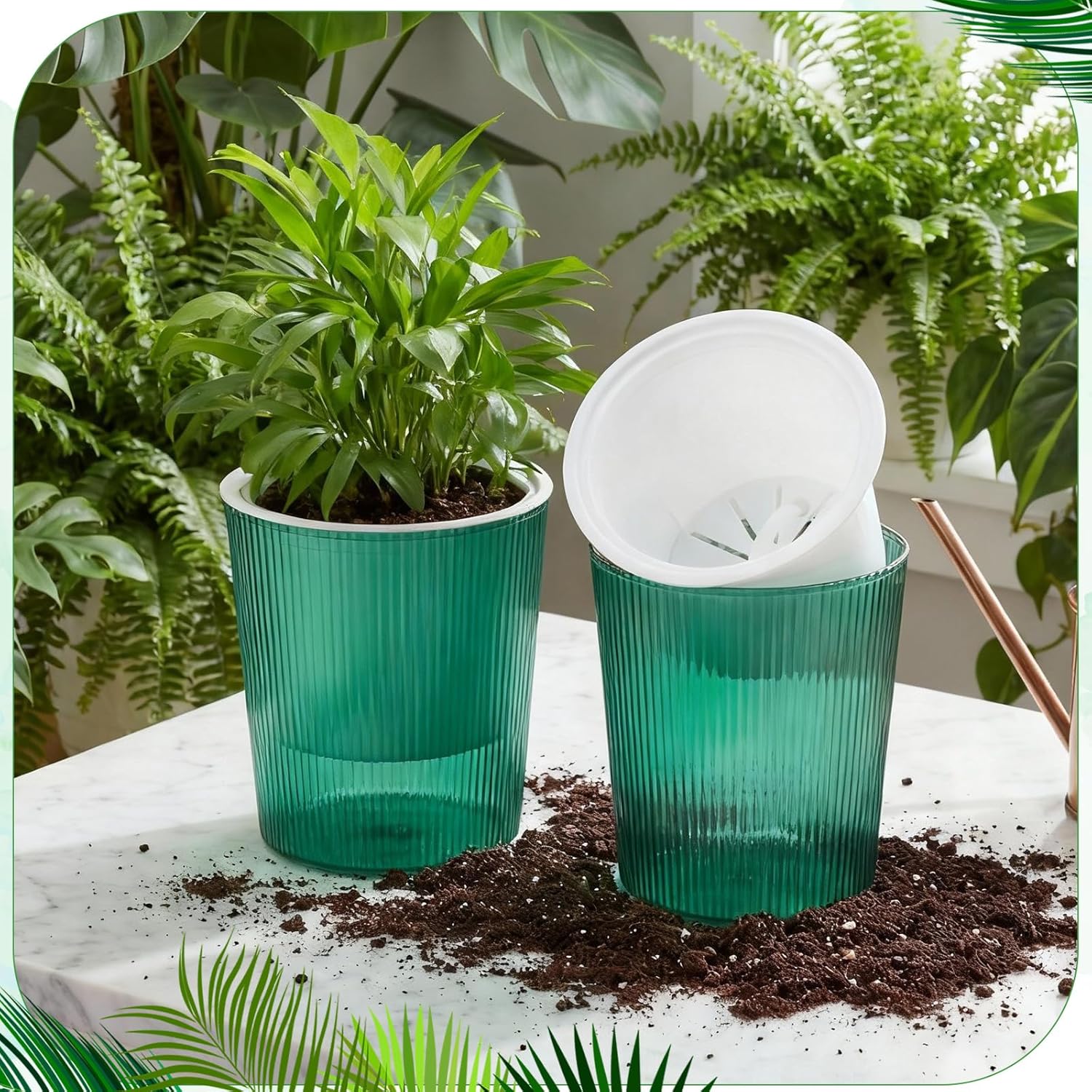 Clear Self Watering Planters P – обзор и цена Aloe Vera Pot