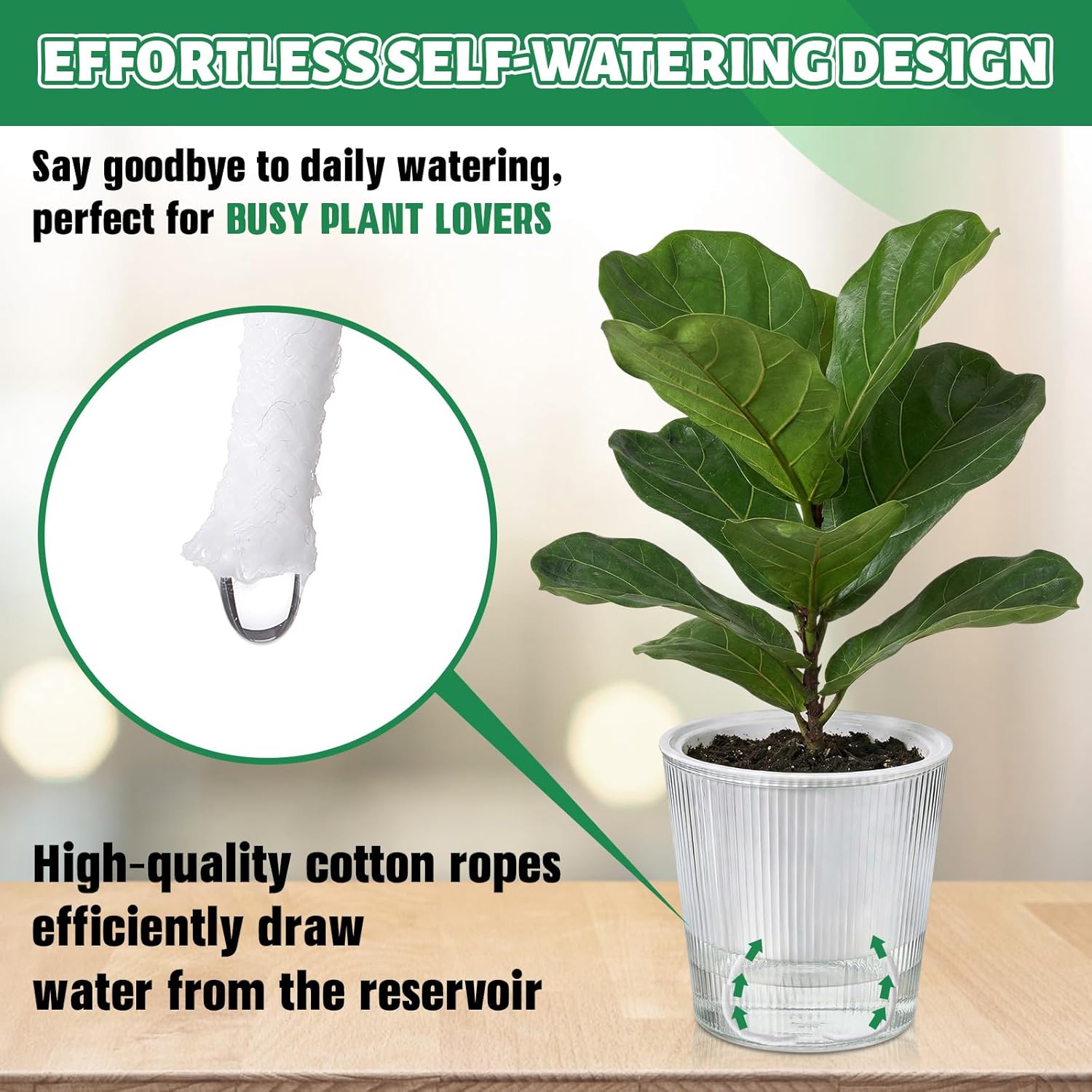 Clear Self Watering Planters P – обзор и цена Aloe Vera Pot