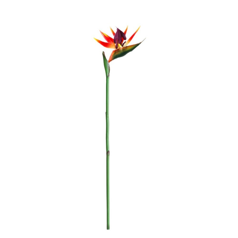 Long Stem Artificial Bird of P – обзор и цена Bird Paradise Strelitzia