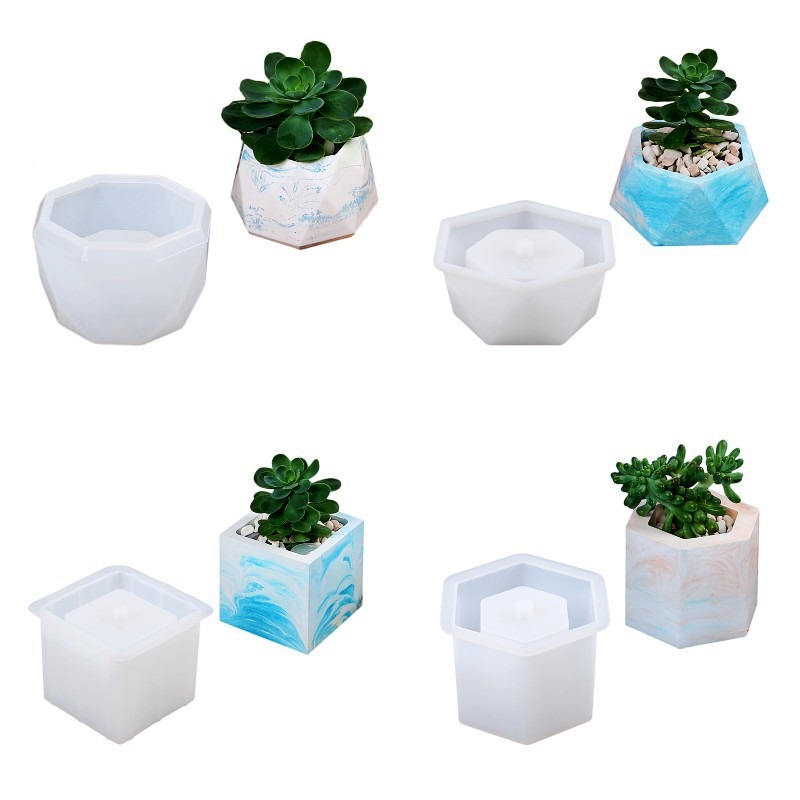 Succulent Flowerpot Silicone M – обзор и цена Echeveria Succulent