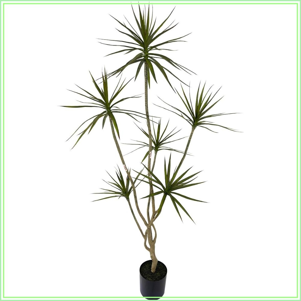6ft Tall Artificial Dracaena M – обзор и цена Dracaena Marginata