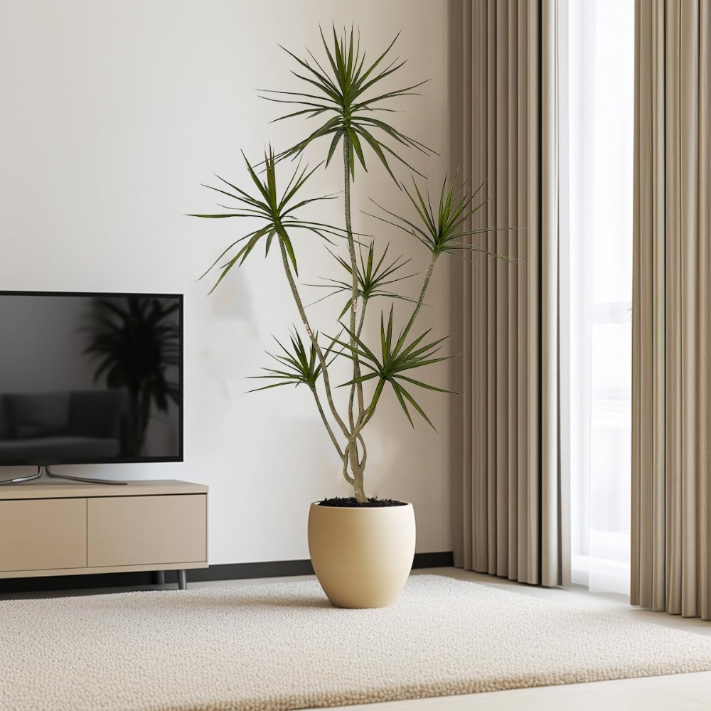 6ft Tall Artificial Dracaena M – обзор и цена Dracaena Marginata