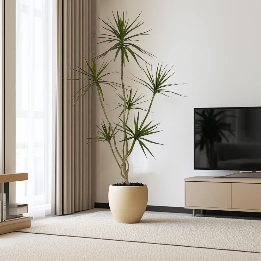 6ft Tall Artificial Dracaena M – обзор и цена Dracaena Marginata