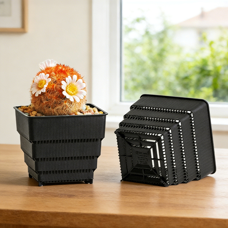 MESHPOT 6-Pack Square Pots for – обзор и цена Echeveria Succulent