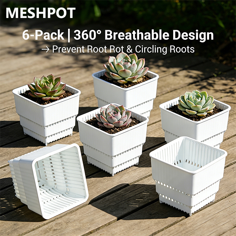 MESHPOT 6-Pack Square Pots for – обзор и цена Echeveria Succulent