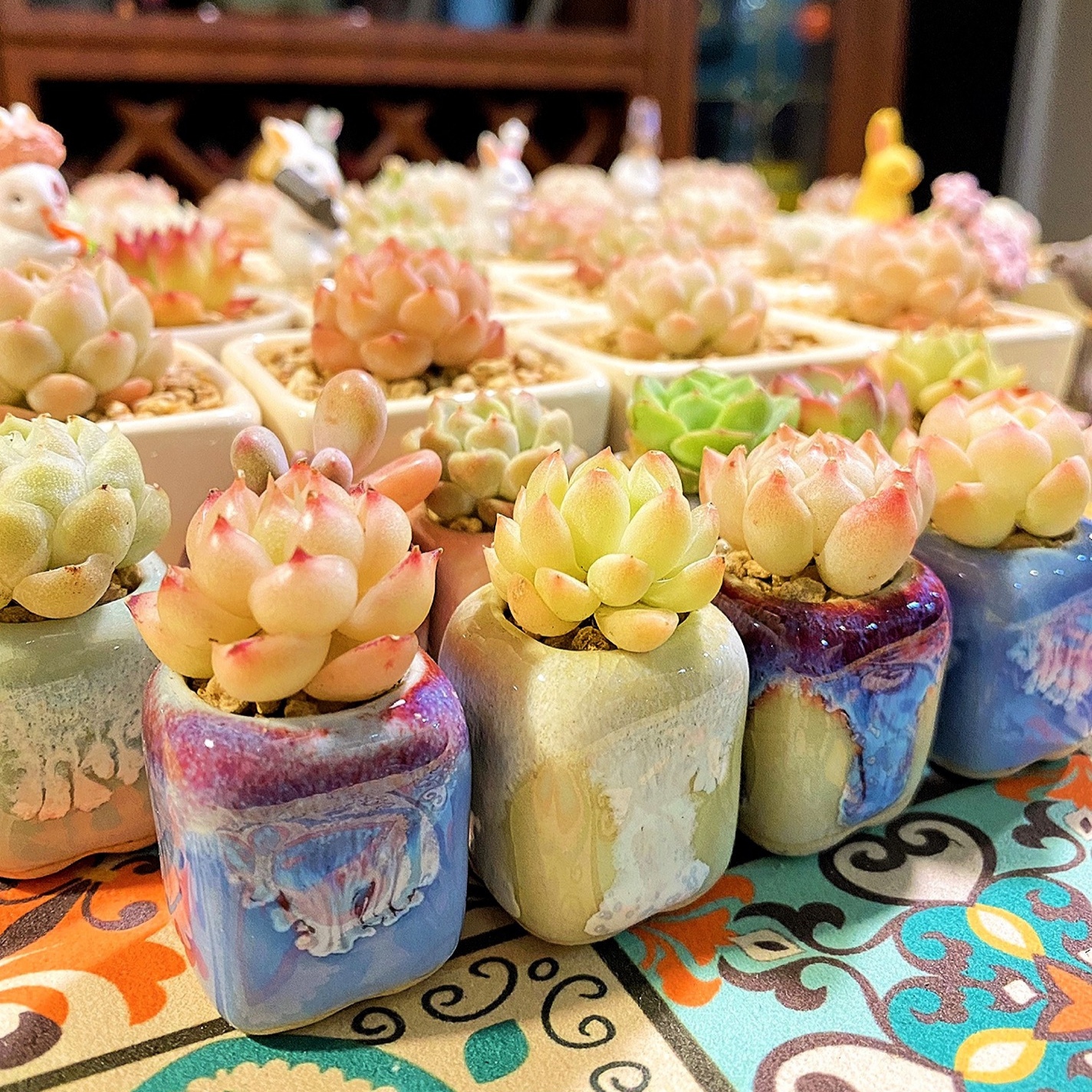 10Pcs Mini Ceramics Fowerpot M – обзор и цена Echeveria Succulent