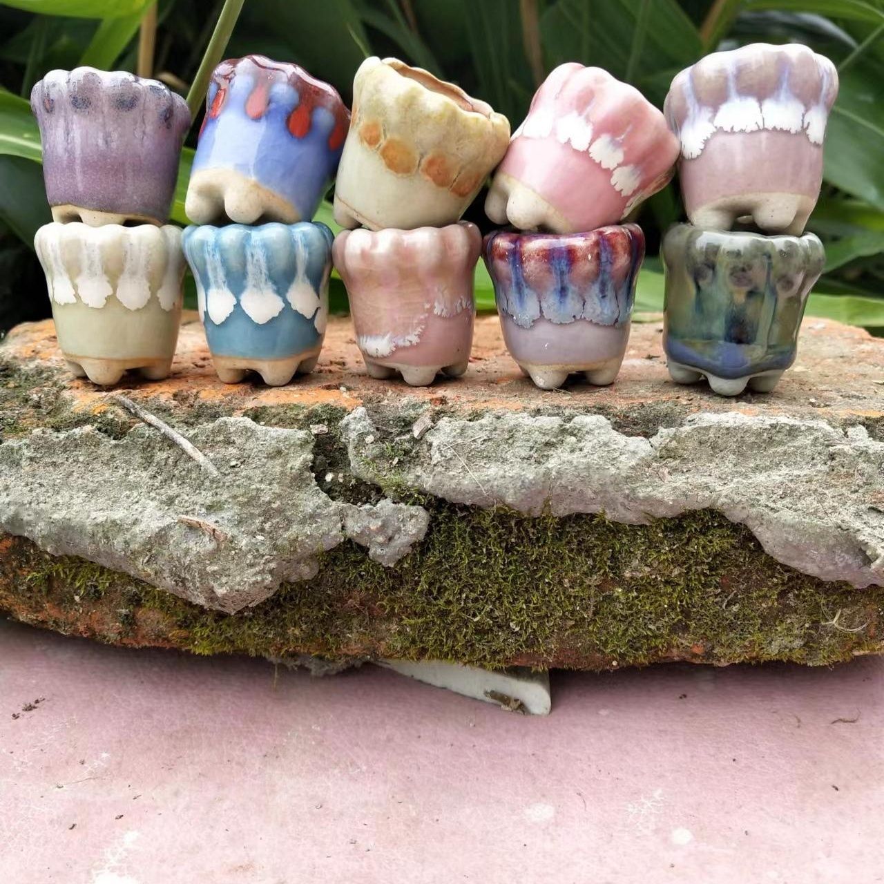 10Pcs Mini Ceramics Fowerpot M – обзор и цена Echeveria Succulent