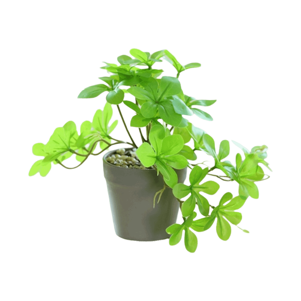 Bonsai Artificial Bonsai Plant – обзор и цена Spider Plant Hanging