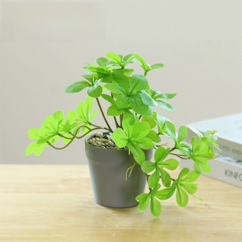 Bonsai Artificial Bonsai Plant – обзор и цена Spider Plant Hanging
