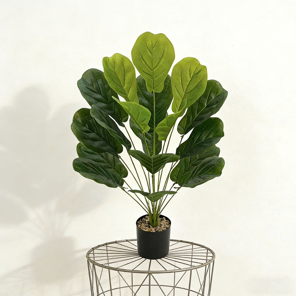 1pc of 75cm Artificial Ficus L – обзор и цена Ficus Lyrata Tree