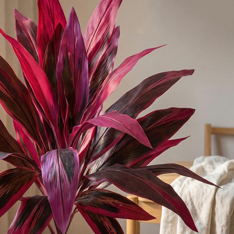 Large Artificial Dracaena Marg – обзор и цена Dracaena Marginata