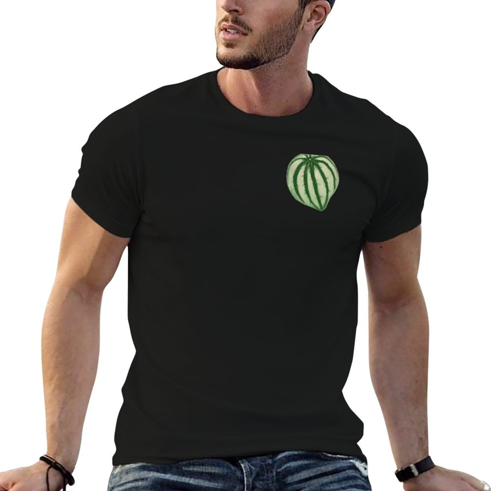 Watermelon Peperomia T-Shirt D – обзор и цена Peperomia Watermelon
