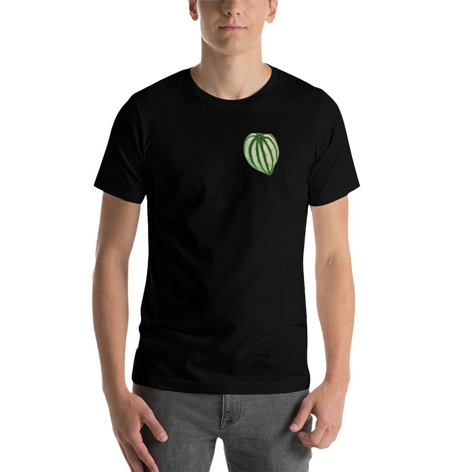 Watermelon Peperomia T-Shirt D – обзор и цена Peperomia Watermelon